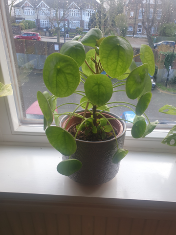 Review by Jessica Sparkes